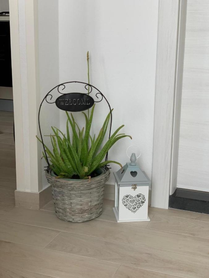 Apartment Salov Trogir Chambre photo